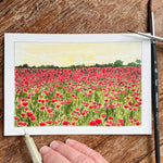 Poppy field