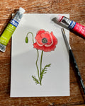 Poppy in line and wash