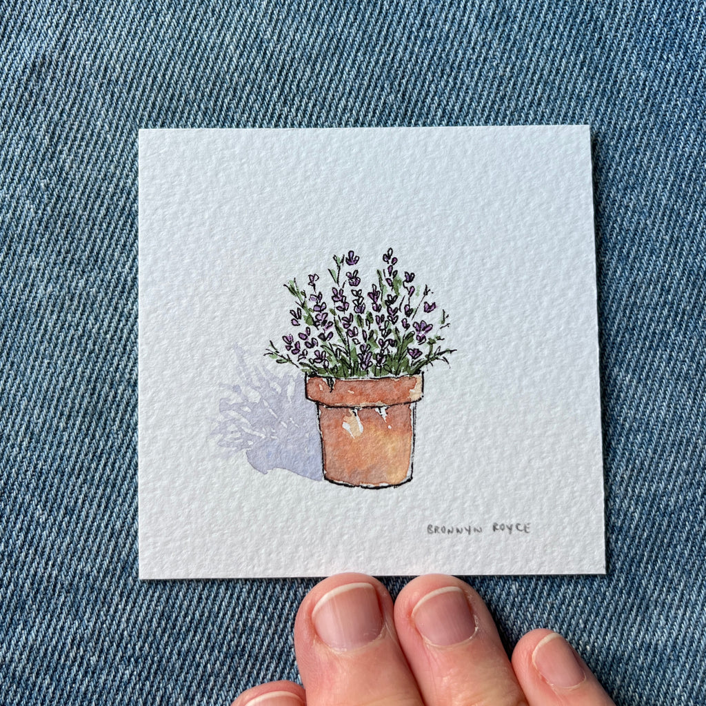 Lavender pot