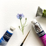 Cornflower