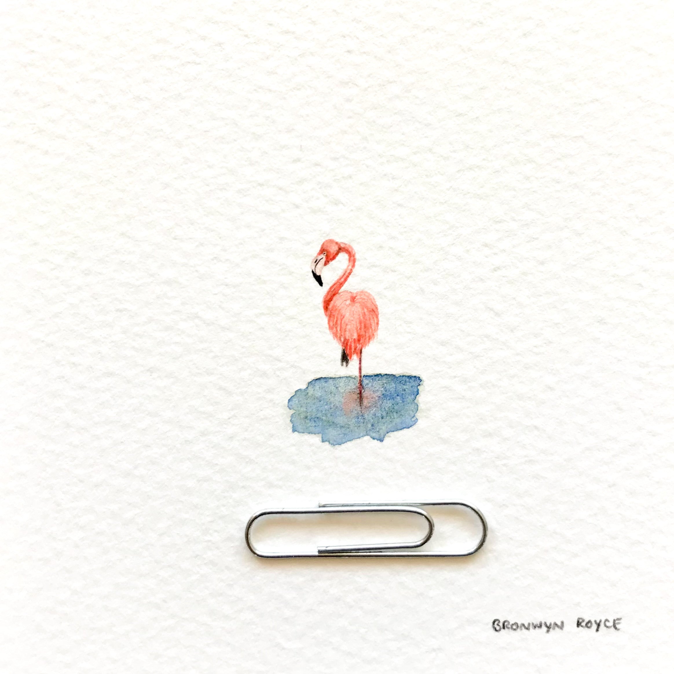 Flamingo