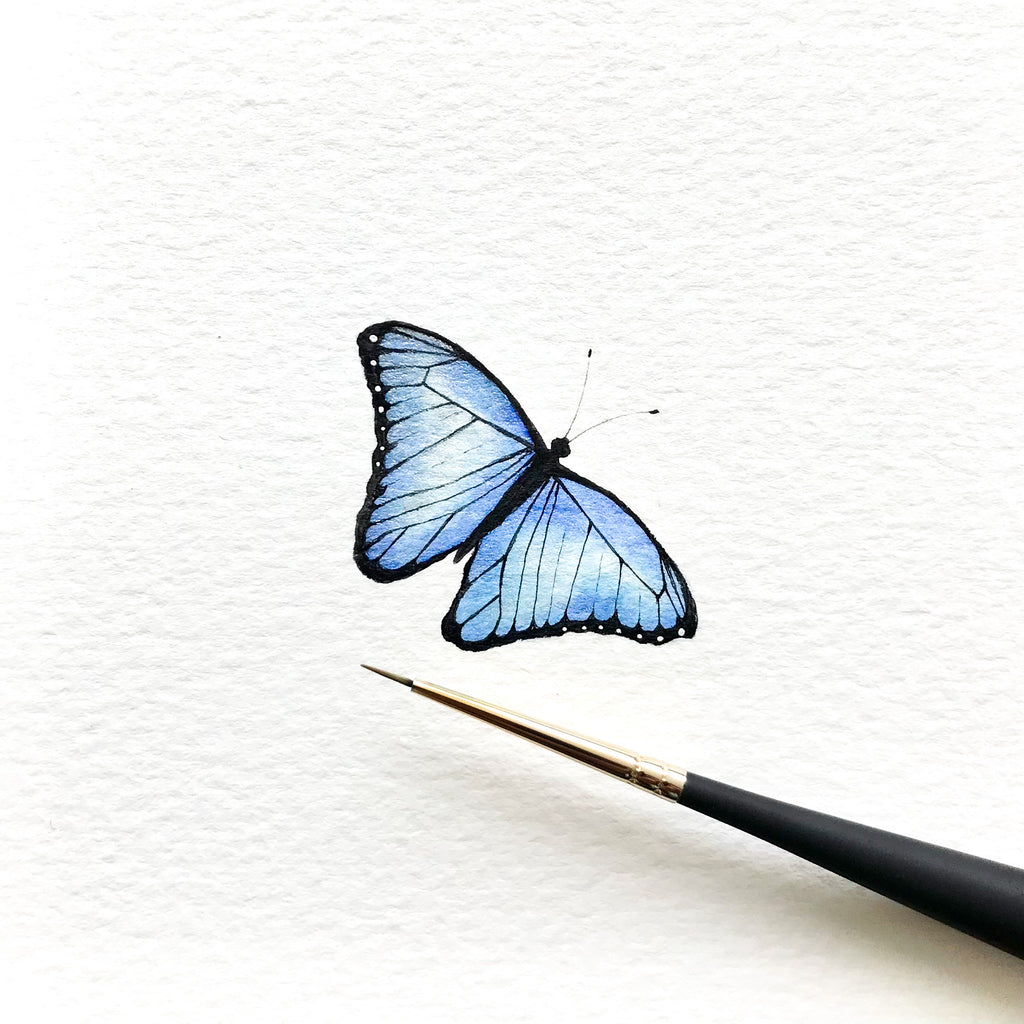 Blue butterfly