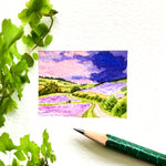 Lavender landscape