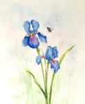 Irises and bumblebee