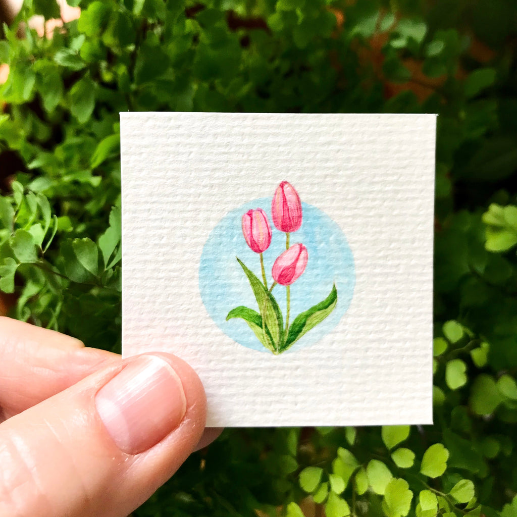Tiny tulips