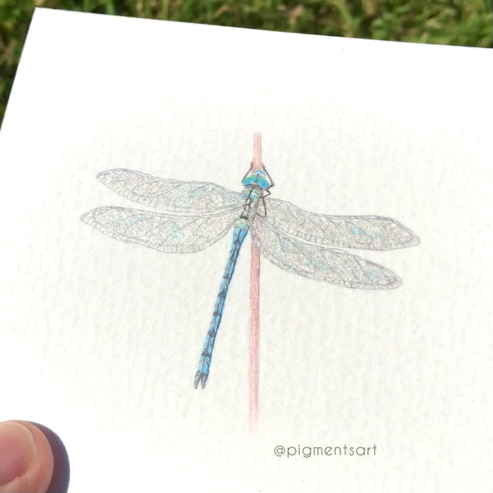 Metallic dragonfly