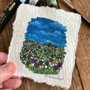 Wildflower field