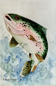 Rainbow trout